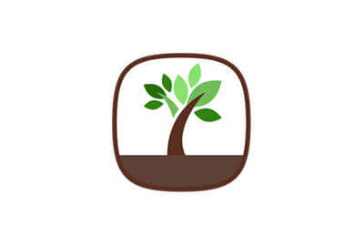 Botanical Name of Plants